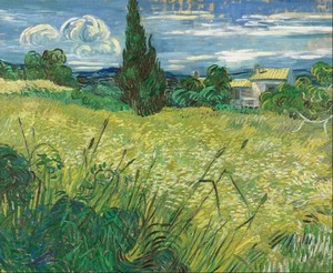 Le Champ de blé vert avec cyprès