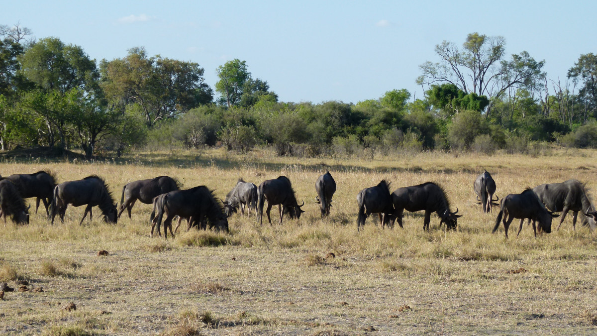 Illustration pour le poème