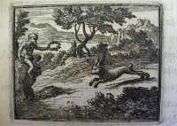 Photo de François CHAUVEAU