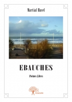 Ebauches