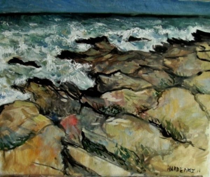 Mer sauvage à Audresselles