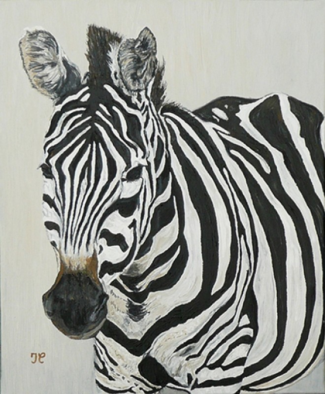 Le zèbre.