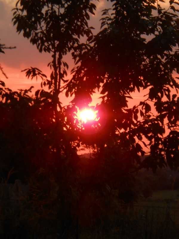 Je flamboie de tous mes éclats