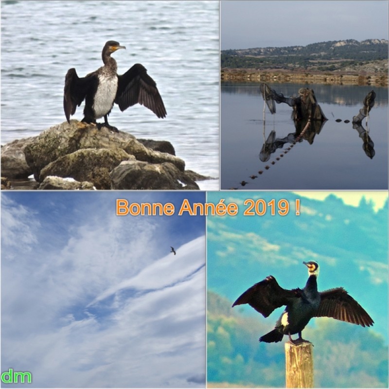 Bonne Année !