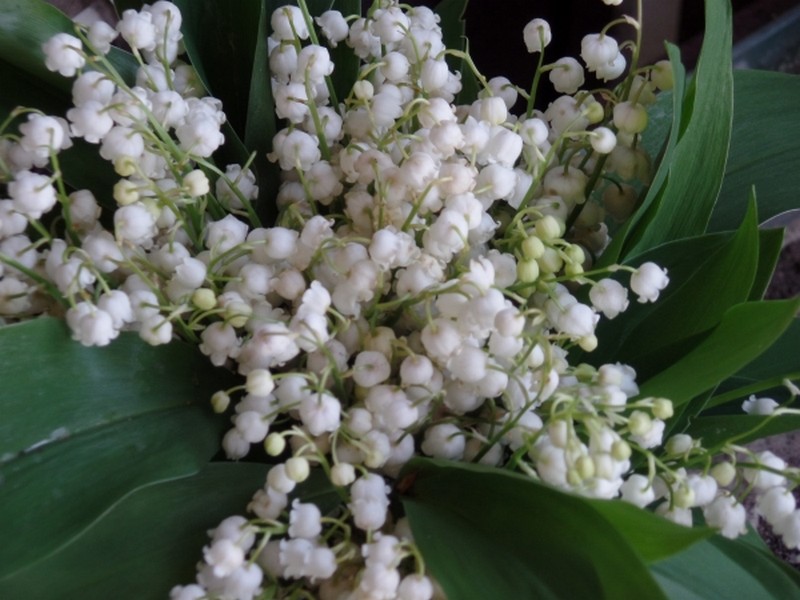 Jour divin :  repos complet  :)