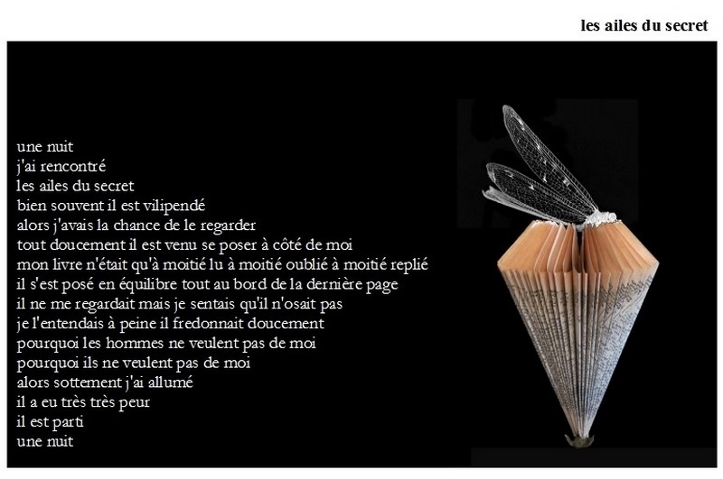 Les ailes du secret
