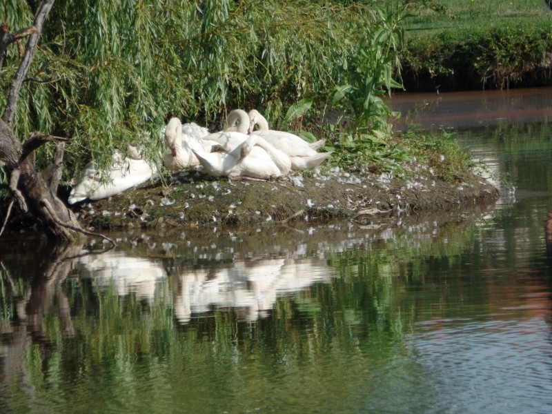 Mettez vos chaussons dans vos pieds mignons :)