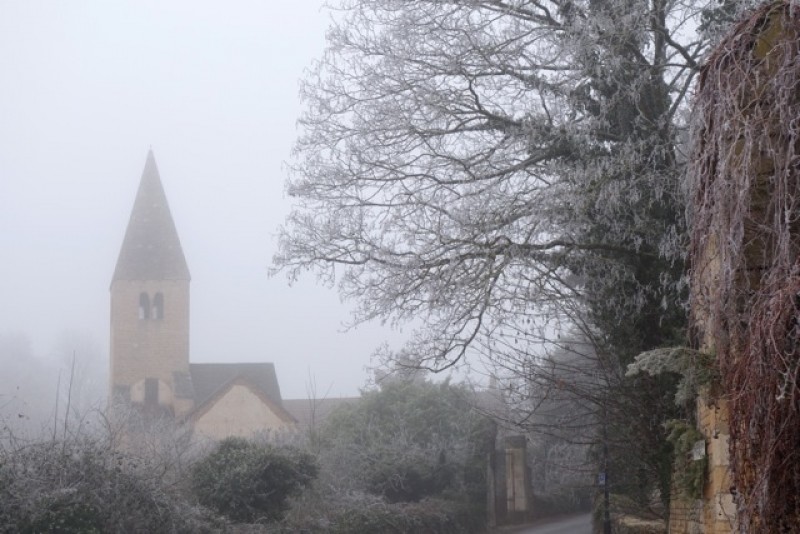 Brume et perles fines