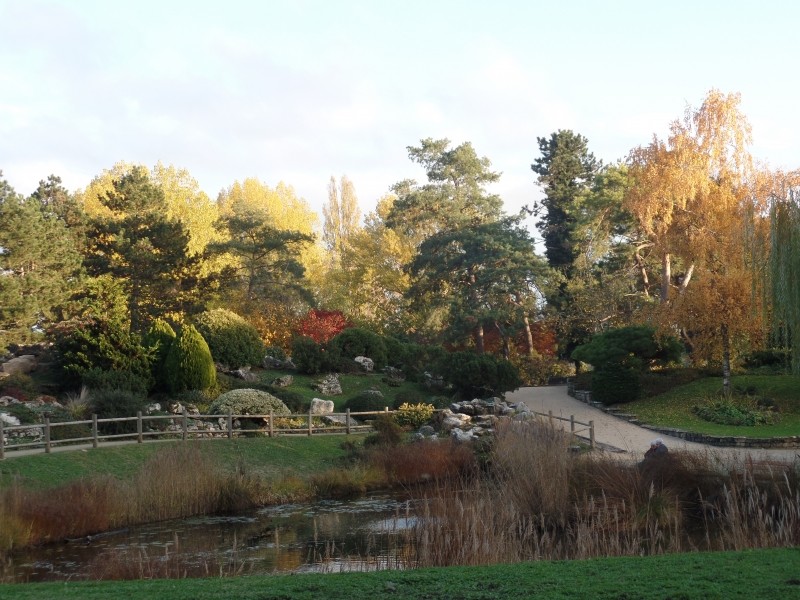 Des fleurs et des fruits !