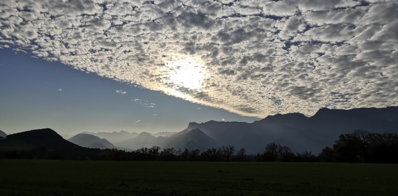 Transhumance dans le ciel