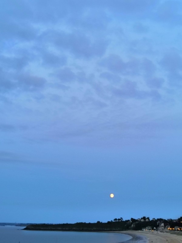 Point de vue