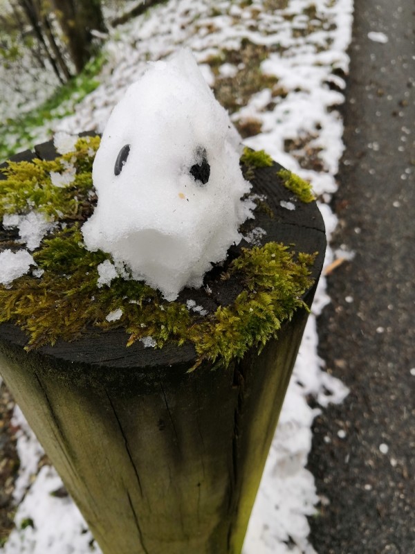 Poisson de neige