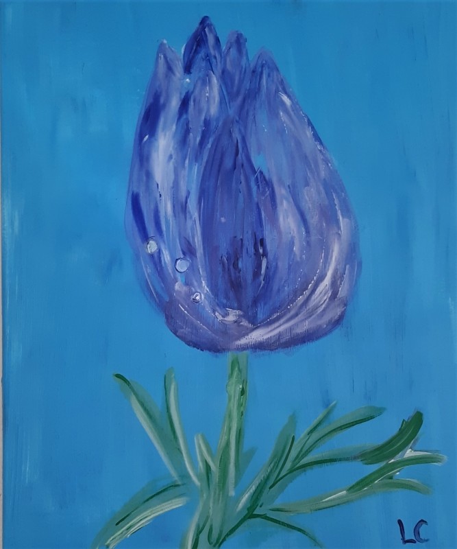 Fleur bleue...
