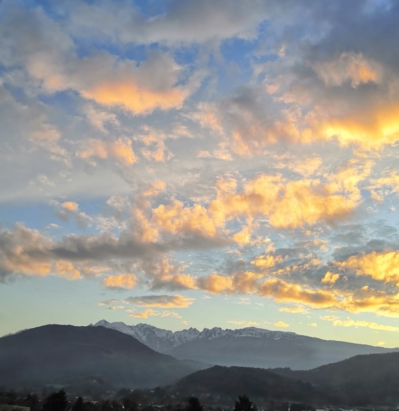 Un matin de décembre