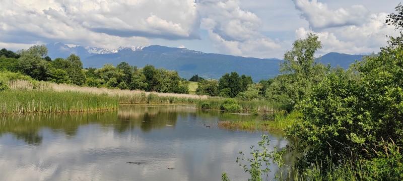 Le temps de l'étang