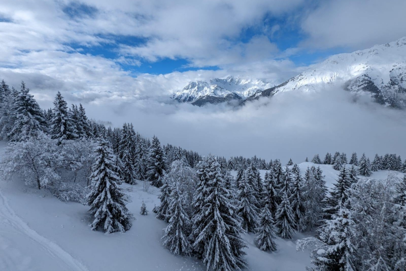 Féérie d'hiver