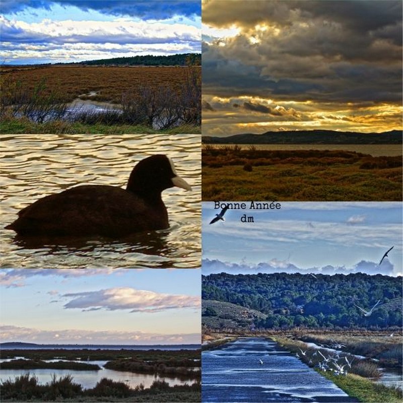 Bonne année!!!