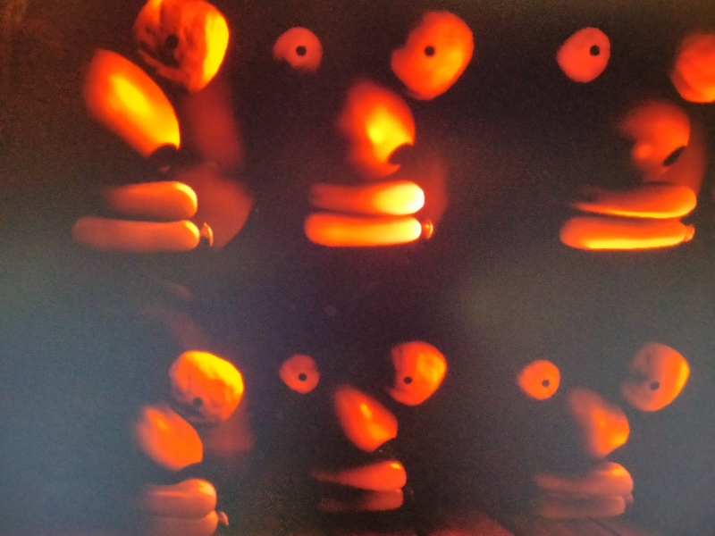 Heads