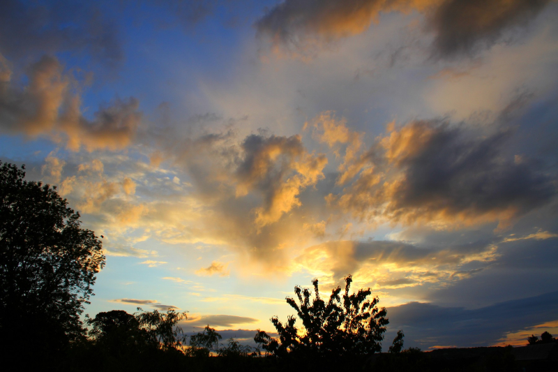 Ébauche de lumière