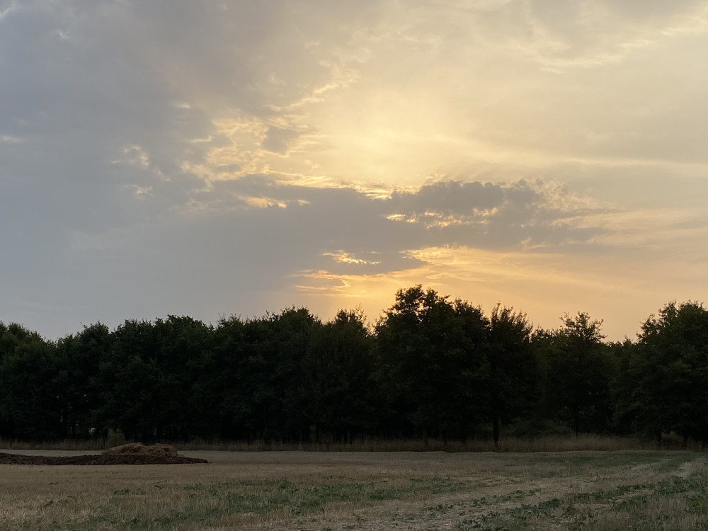 Le réveil du soleil