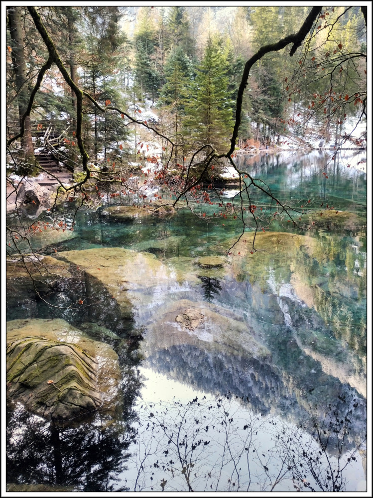 Élise, l'innocence assassinée