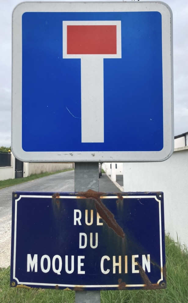 Le canidé voit rouge