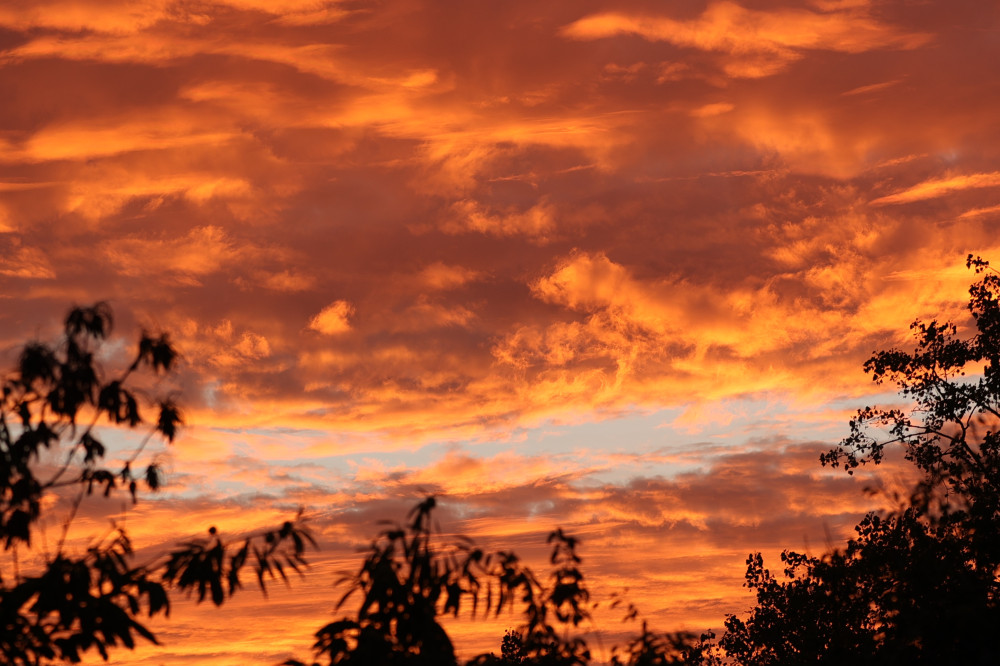 Mars  sur un plateau Sartois