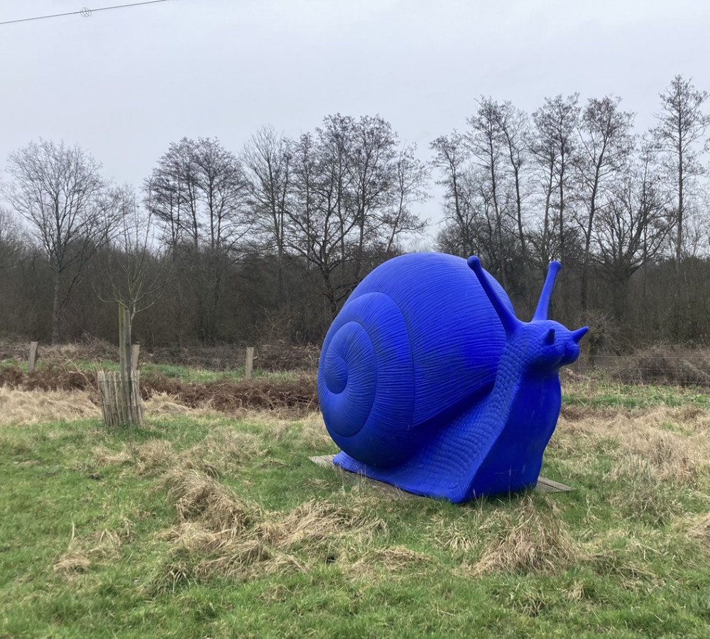 N'y voir que du bleu