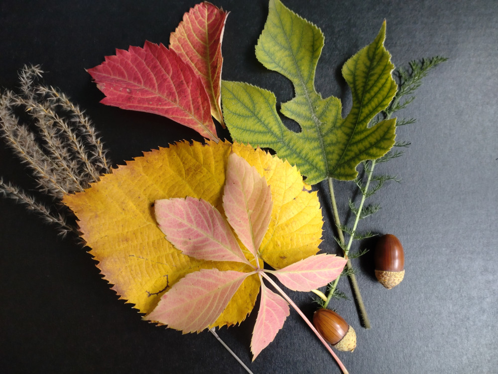 Bouquet d'automne