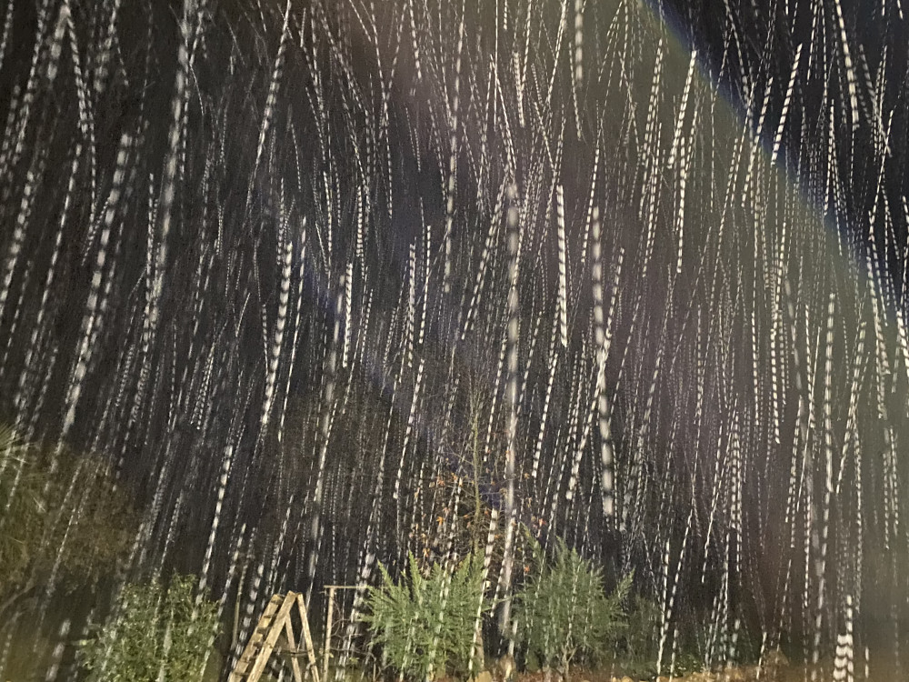 Quand la neige tombe