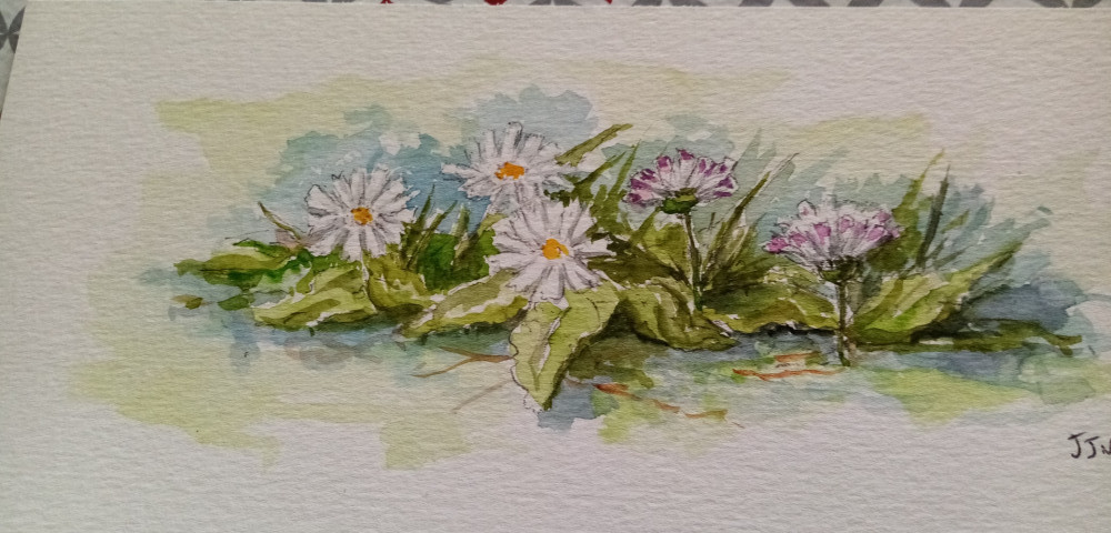 Pensée de fleurs
