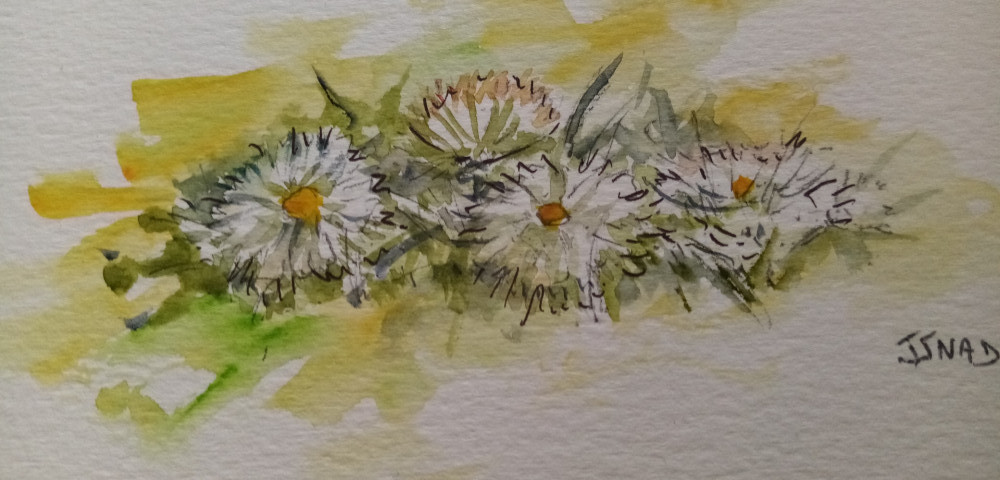 Fleurs en tapis