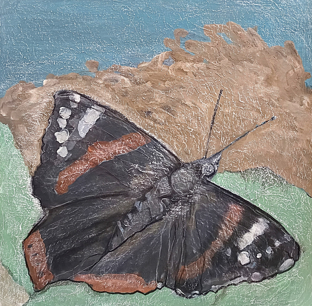 Papillon, papillon vulcain