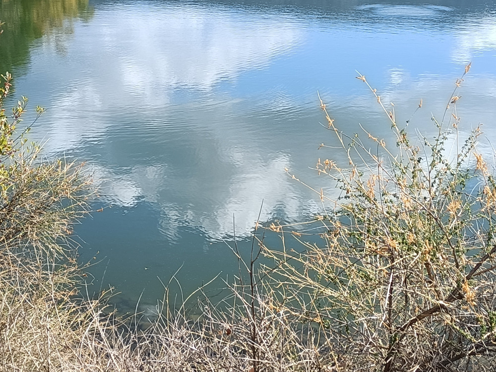 Reflets