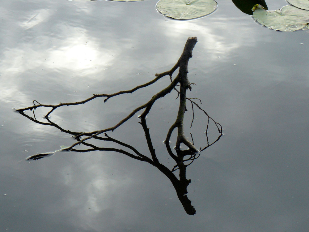 Reflet zen