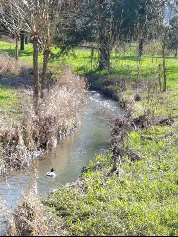 Là où l’eau murmure