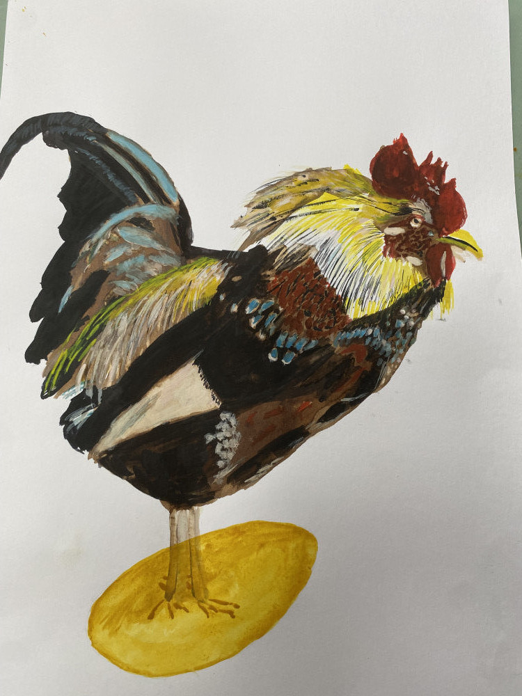 Gallinacé pas ovin!