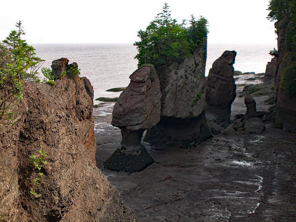 Titans de marée basse