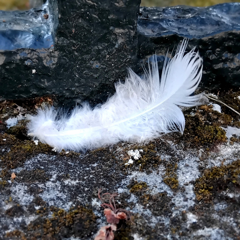Un ange est passé par là