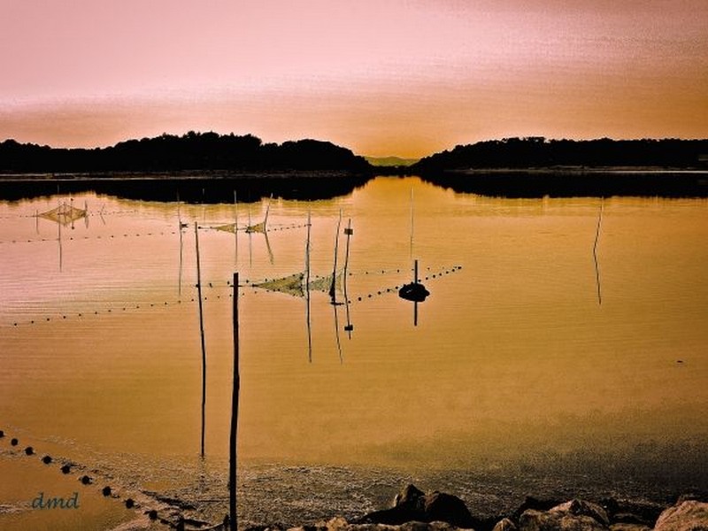 Contentement Consentement