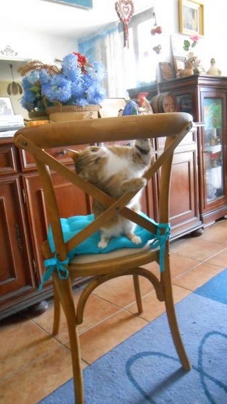 Coucou, je vois la vie en bleu !