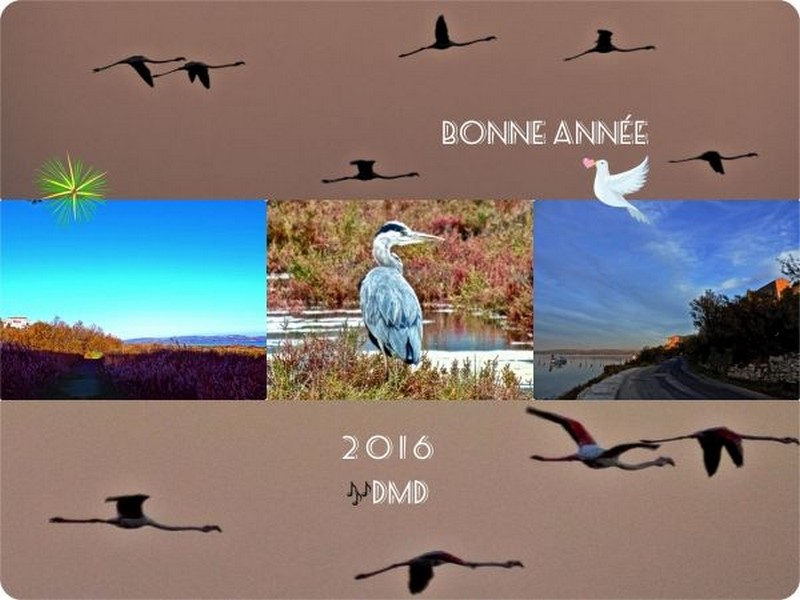 Bonne Année!!!