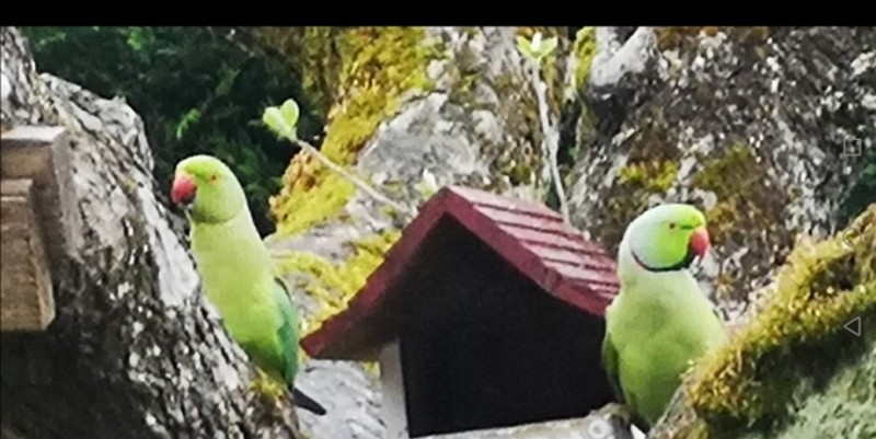 La sagesse du Bouddha 