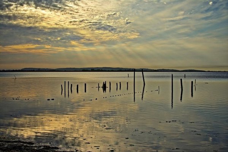 Mouvements harmoniques