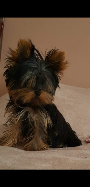 Les penseuses et les penseurs