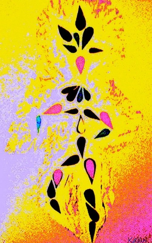 Arlequin de Lumière