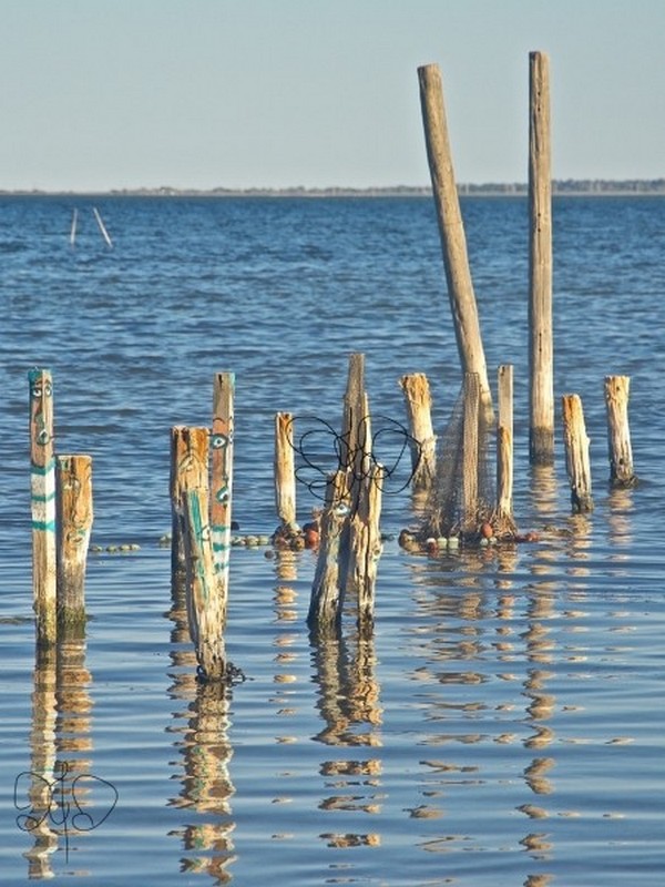 Géométrie: bois flotté, filet