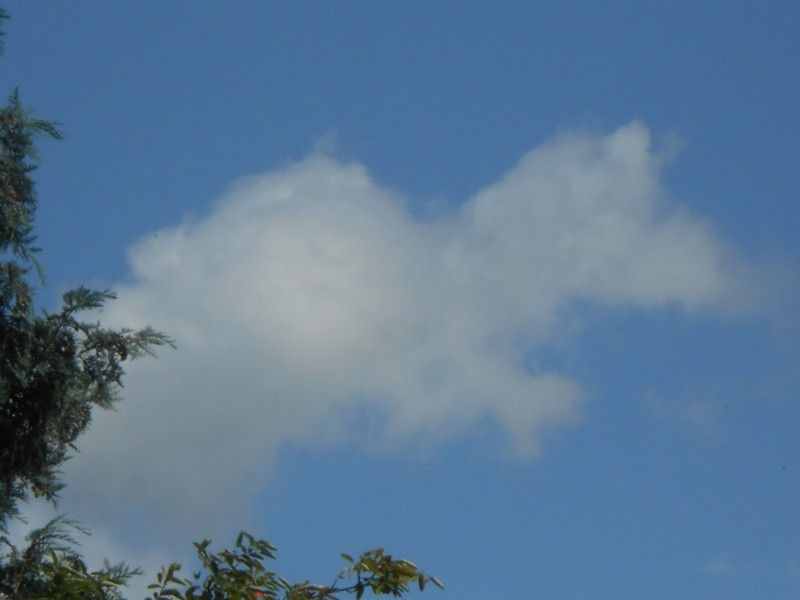 Les nuages dessinent en azur pur!