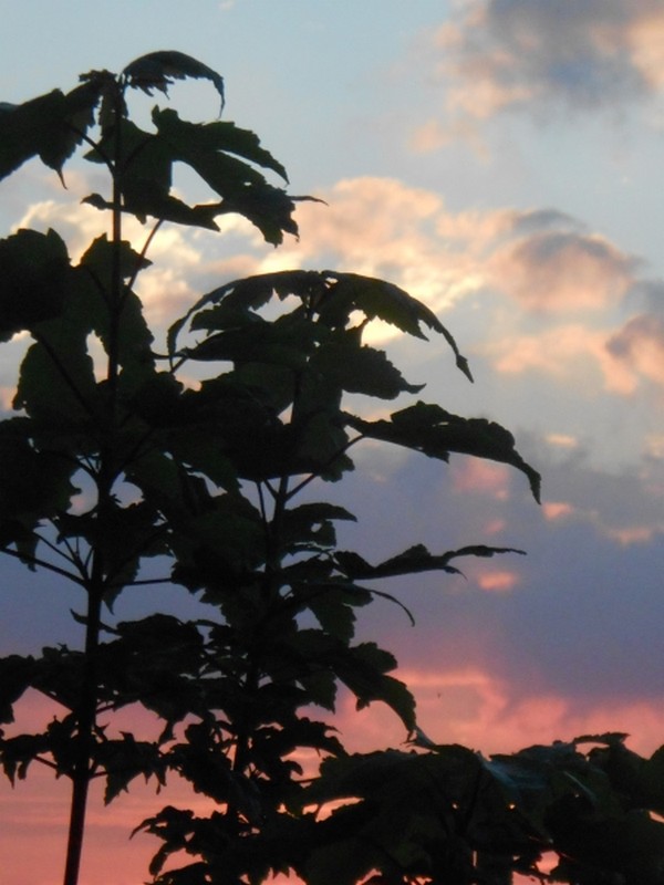 Terre et ciel en face à face