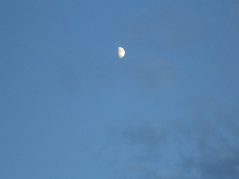 Unique étoile me guide